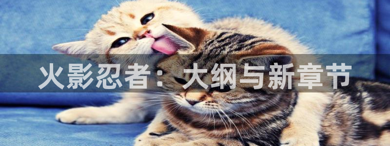 禁漫天堂大全：火影忍者：大纲与新章节