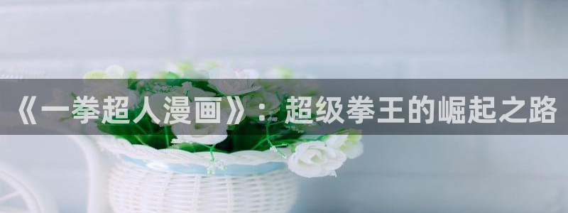 【禁漫天堂】：《一拳超人漫画》：超级拳王的崛起之路
