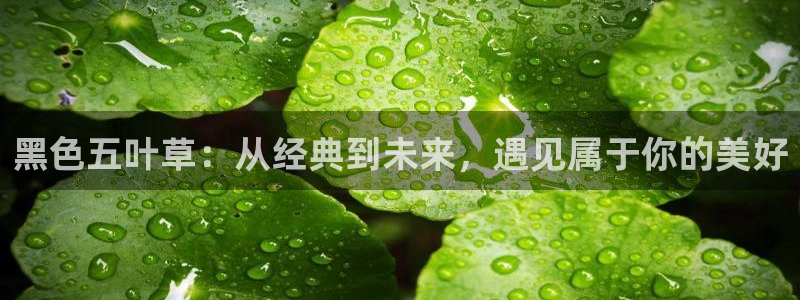 禁漫天堂日漫：黑色五叶草：从经典到未来，遇见属于你的美好