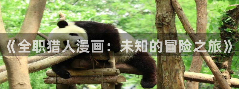 禁漫天堂在线进入：《全职猎人漫画：未知的冒险之旅》