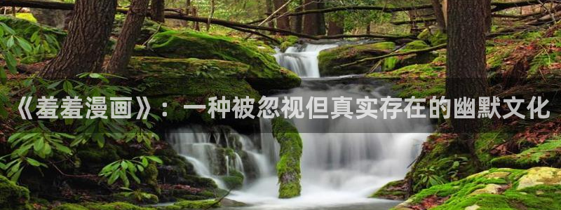 禁漫天堂下：《羞羞漫画》：一种被忽视但真实存在的幽默文化